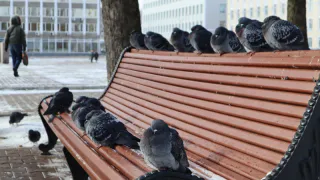 Жара войдет резко и без стука: синоптики определили точные даты начала весны