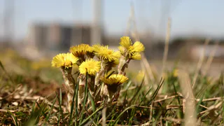 Синоптики объявили 2016 год самым жарким за всю историю наблюдений