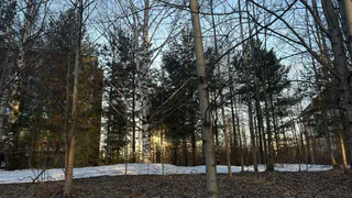 Коми встретит 1 апреля плюсовыми показателями термометров на всей территории