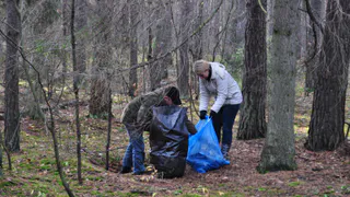 Леса рядом с Нижнекамском очистили от мусора