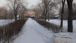 В Магнитогорске пустырь может превратиться в уютный сквер