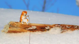 В Челябинской области 5 февраля ожидается аномально морозная погода