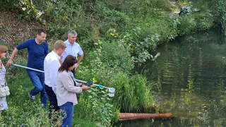 Облдума: эксперты взяли пробы воды из грязных прудов в Дашково-Песочне