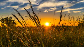 15 июля в Рязанской области ожидается сильный ветер и +27