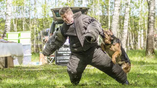 Желающих увидеть кинологическое шоу ждут в Петушках