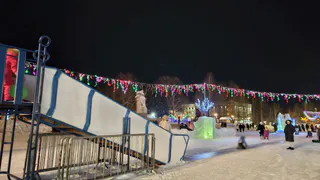 Снежный замок, коньки и пикник в лесу: детский врач рассказал челябинцам, как увлекательно провести каникулы 