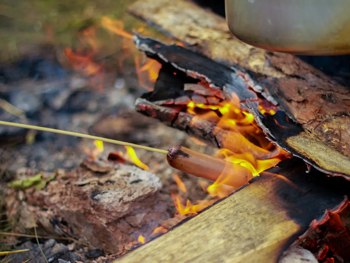 Прогноз на март, апрель и майские: Вильфанд сообщил, когда ждать долгожданные +15 градусов