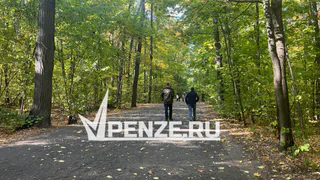 Пензенца на отдыхе в другом регионе укусил энцефалитный клещ