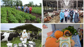 Ярмарки, конкурсы, семинары: что организует Минсельхоз Коми в 2025 году