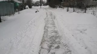 Рязанские казаки готовы посыпать песком город по приказу мэра Сорокиной