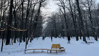 Россияне экстренно меняют свои планы: перенос праздничных выходных на 8 марта и 23 февраля 