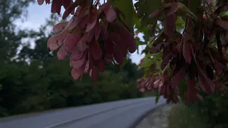 В Пензенской области продолжат ремонт дороги Кувак-Никольское — Земетчино