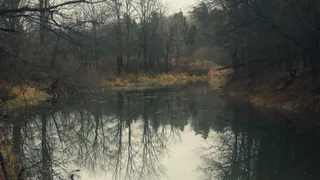 В воскресенье в Рязани будут дожди