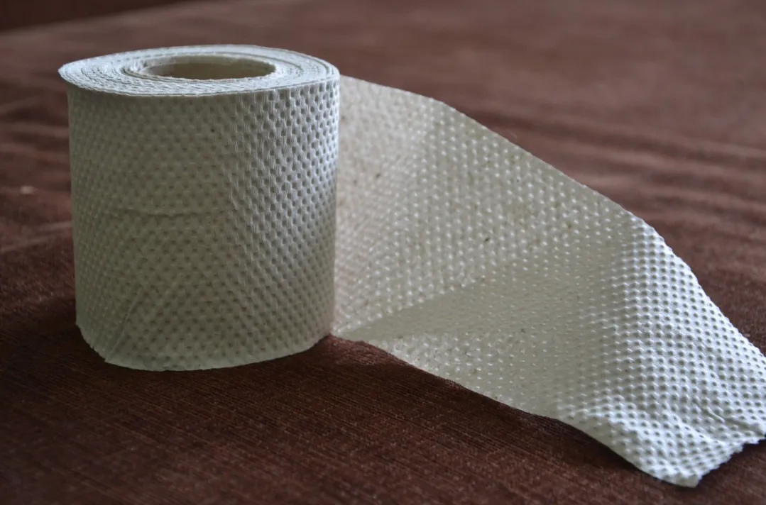 Раз в неделю кладу туалетную бумагу в холодильник и наслаждаюсь результатом: вот зачем так делаю — лайфхак немецких хозяек