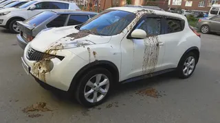 Неизвестный мститель облил иномарку фекалиями в Брянске (видео)