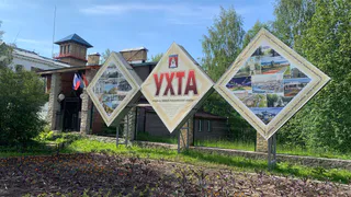 Волонтеры "Лиза Алерт" спасли ребенка, заблудившегося в лесу в Коми