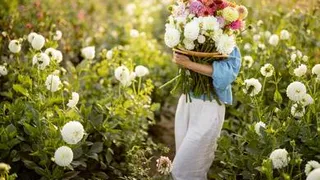 Девушкам нельзя нюхать цветы: запреты и приметы на 19 июня