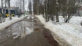 В Коми возвращается весна: погода в регионе 12 апреля