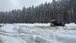 Ущерб в 380 млн рублей: в четырех районах Пензенской области Росприроднадзор выявил незаконные снежные свалки