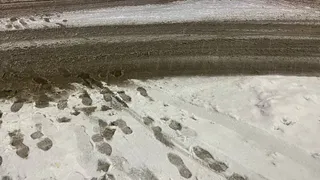 В Коми 22 ноября ожидается ухудшение погодных условий