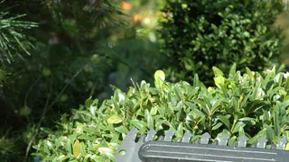 Попробовал и глазам не поверил — леска триммера перестала наматываться — одной катушки хватит на все лето