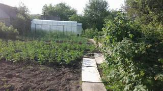 Ушлые дачники мешками заготавливают пенопласт на следующий год: даже бетонная земля станет мягкой как пух