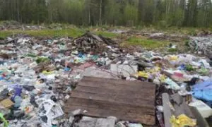 В Прилузском районе Коми ликвидирована крупная свалка на сельхозземлях