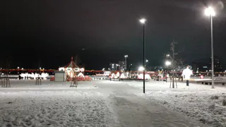 В Новочебоксарске без вести пропала 14-летняя школьница в зеленой куртке