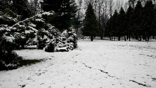 На территорию Челябинской области надвигается снежный сюрприз