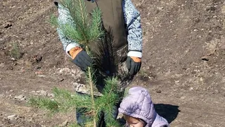 Жители Чебоксарского округа приняли участие в акции "Посади дерево"