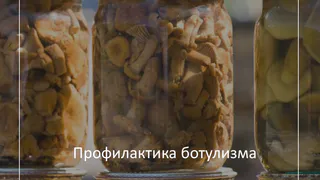 Специалисты из Владимирской области рассказали о профилактике ботулизма