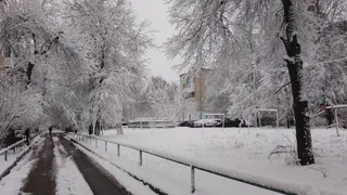 Синоптики рассказали о погоде в Коми на 1-й день 2025 года