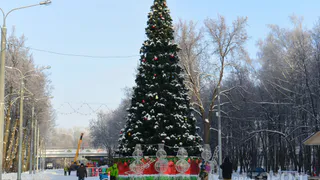 Скоро рядом с Лесопарком запретят парковаться