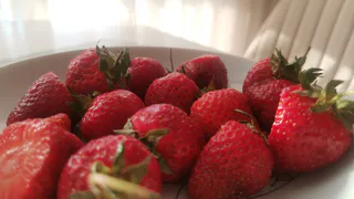 Готовлю клубнику к зиме по сибирскому методу: весной кусты выживают на 95 %, а летом дают до 7 кг ягод без лишних удобрений