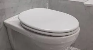 После этого случая всегда опускаю крышку унитаза и вам советую: вот почему нельзя оставлять открытым