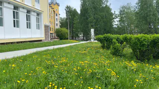 Челябинская область ожидает прохладный и ветреный день с дождями