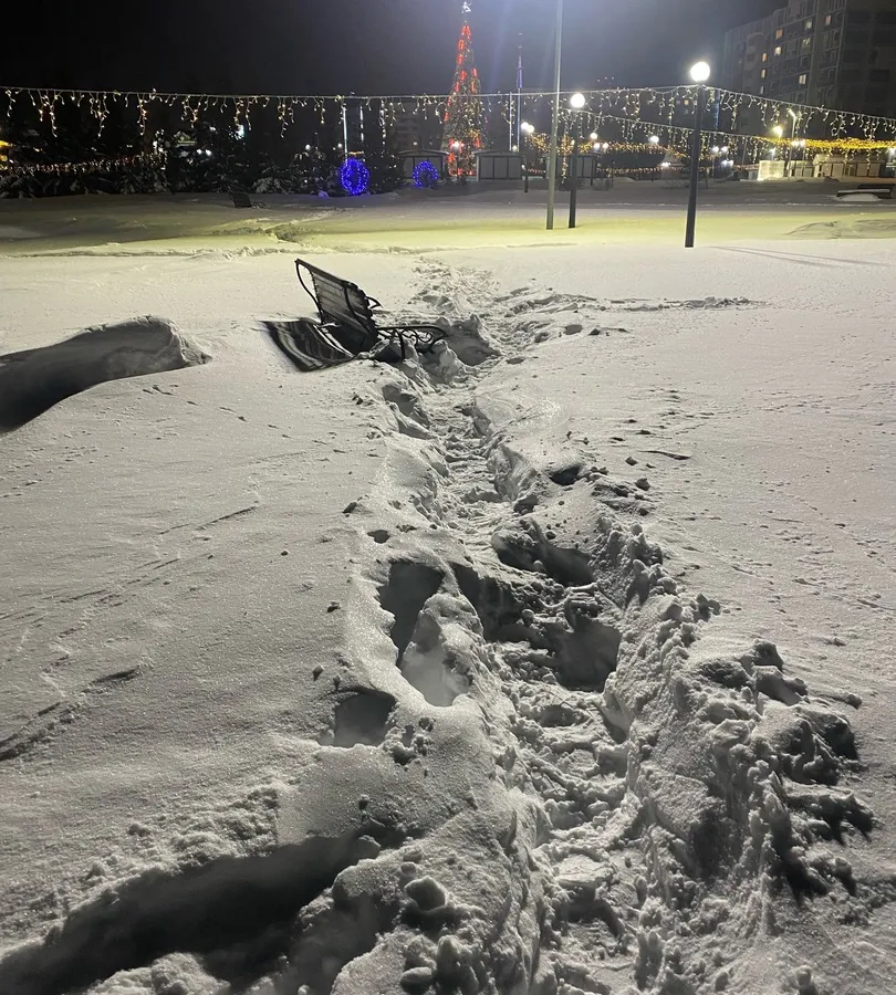 «Сколько можно в парке Нефтехимиков ехать ходить по таким дорожкам?»