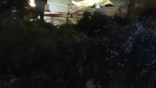 В конце января: суд назначил дату слушания по делу об убийстве у Полетаевского рынка