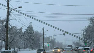 Из-за этой линии у обочины водители спорят годами — многие до сих пор неправильно понимают, можно ли её пересекать