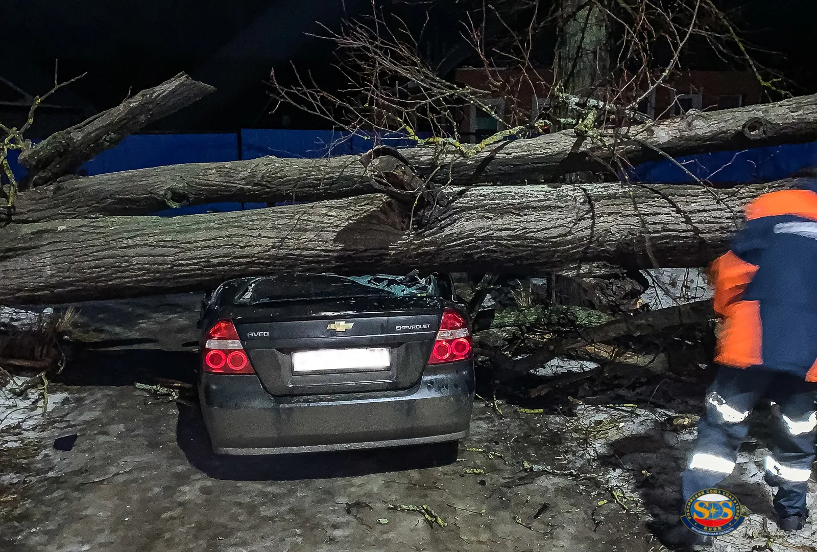 В деревне Новая Быковка спасатели освободили автомобиль из-под упавшего дерева