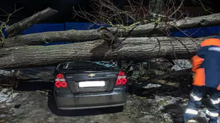 В деревне Новая Быковка спасатели освободили автомобиль из-под упавшего дерева