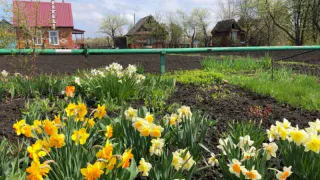 Россияне схватились за сердце: с 19 апреля будут давать штраф за забор на даче или огороде