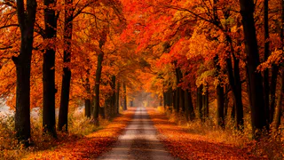 В Нижнекамске 28 сентября похолодает 