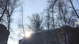 В Рязани ожидается сильный ветер