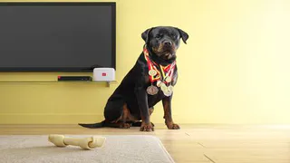 «Дом.ru» получил престижную премию «Большая цифра» за ТВ-приставку