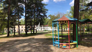 Жительница Спасска получила приличную компенсацию за причинение вреда ее дочери в парке