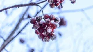 Морозы до -48, снег стеной и лавины: что готовит России погода на первую неделю января