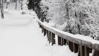 Предупреждение от МЧС: этой ночью владимирцев ждет метель