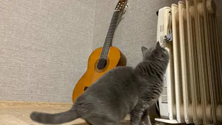 Девять рязанцев погибли, пытаясь согреться: в чем была фатальная ошибка?