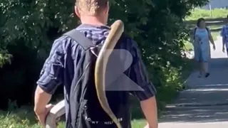 По Рязани гулял мужчина с питоном на плече
